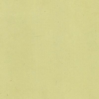 TRAMBILENO 404-32 Preview 2