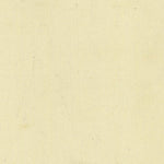 TRAMBILENO 404-28 Preview 2