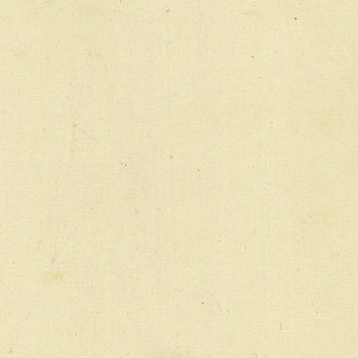 TRAMBILENO 404-28 Preview 2