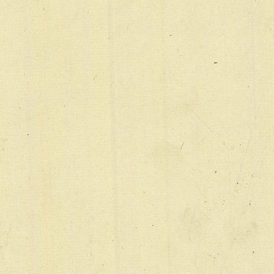 TRAMBILENO 404-28 Preview 3