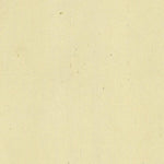 TRAMBILENO 404-33 Preview 2