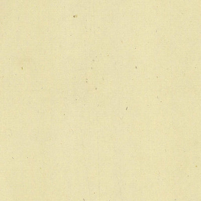 TRAMBILENO 404-33 Preview 2