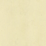 TRAMBILENO 404-31 Preview 2