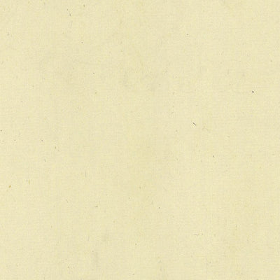 TRAMBILENO 404-31 Preview 2