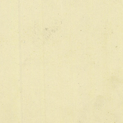 TRAMBILENO 404-31 Preview 3