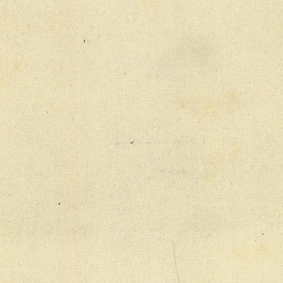 VIGNOLA 425-08 Preview 2