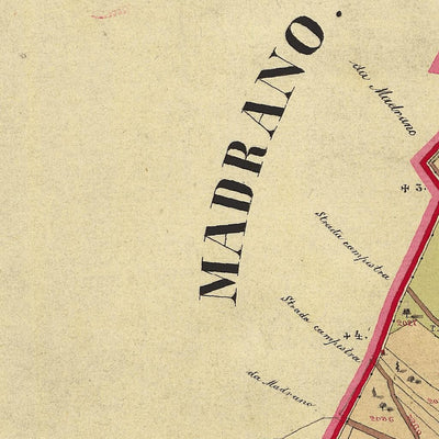 VIGALZANO Mappa originale d'impianto del Catasto austro-ungarico. Scala 1:2880 Preview 3