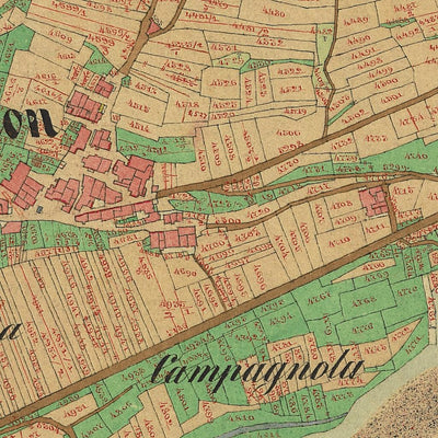 ZIANO Mappa originale d'impianto del Catasto austro-ungarico. Scala 1:2880 Preview 3