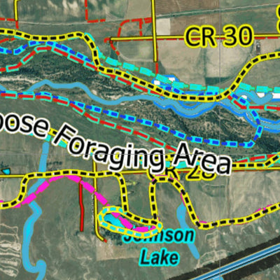 Colorado Unit 92 Walk-in Access, Pheasant, Goose, Turkey Concentrations Preview 3