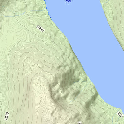 Whale Bay Topo - 14k Preview 2