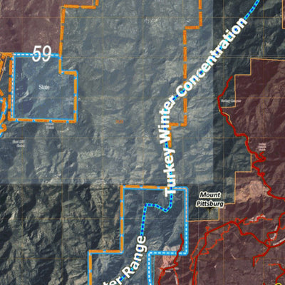 Colorado Unit 59 Turkey, Goose, and Pheasant Concentration Map Preview 2