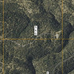 AZ_22N_Sat_Elk_A8_Tile Preview 3