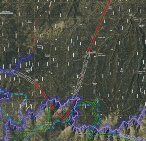 AZ_22N_Sat_Elk_A5_Tile Preview 1