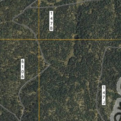 AZ_22N_Sat_Elk_A5_Tile Preview 2