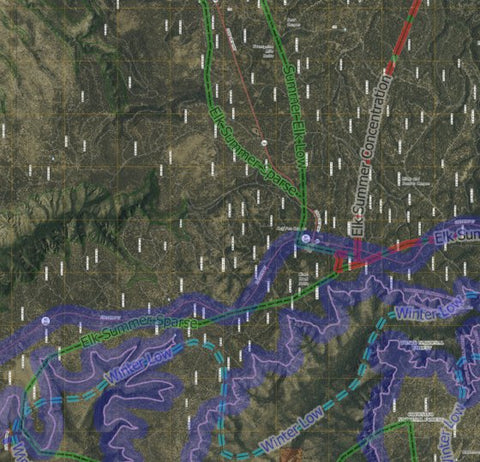 AZ_22N_Sat_Elk_A4_Tile Preview 1