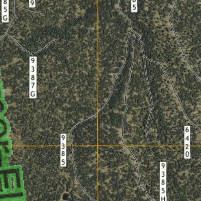 AZ_22N_Sat_Elk_A4_Tile Preview 3