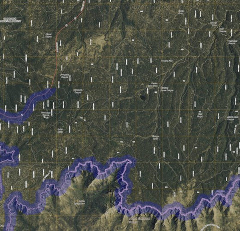 AZ_22N_Sat_A5_Tile Preview 1