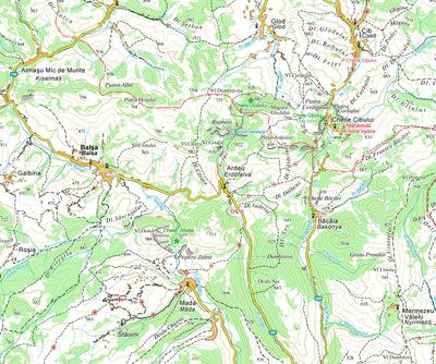 MUNŢII METALIFERI (Érchegység) Preview 3