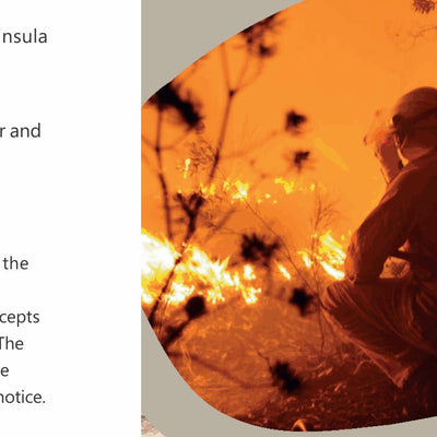 Eyre Peninsula and West Coast Map 293 Preview 3