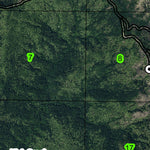 Siskiyou NF T40S R11W Township Map Preview 3