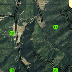Ruch T38S R3W Township Map Preview 3