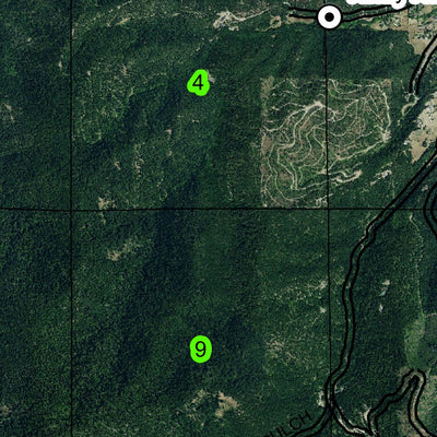 Bald Mountain T39S R1W Township Map Preview 3