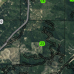 Selma T38S R8W Township Map Preview 2