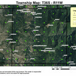 Silver Peak T36S R11W Township Map Preview 1