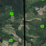 Woodby Mountain T31S R11W Township Map Preview 3