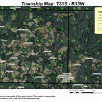 Calf Ranch Mountain T31S R13W Township Map Preview 1