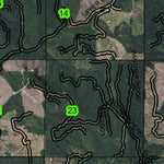 Gold Mountain T31S R9W Township Map Preview 2