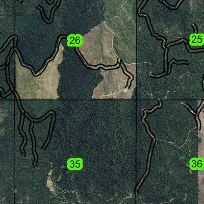 Bland Mountain T30S R3W East 1/2 Township Map Preview 3