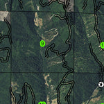 South Myrtle Creek T29S R3W Township Map Preview 3