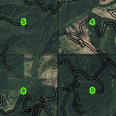 Kenyon Mountain T29S R9W Township Map Preview 3