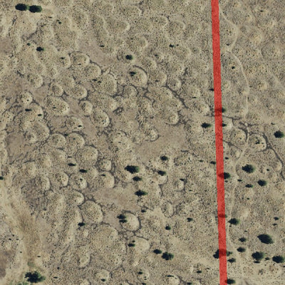 Shamiko, Oregon Preview 3