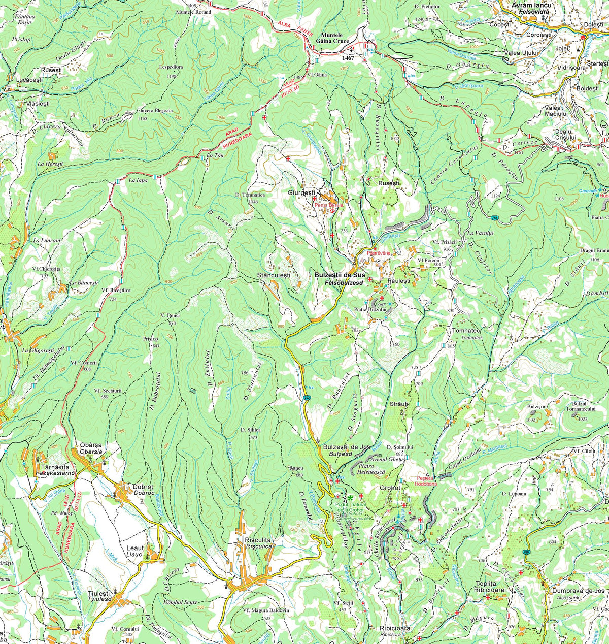 MUNŢII BIHOR (Bihar-hegység) Map by ERFATUR | Avenza Maps
