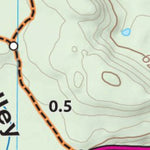 Tower Roosevelt Preview 2