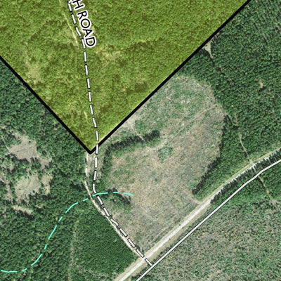 Individal Compartment Map of the Davy Crockett National Forest v2 Preview 3