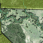 Individal Compartment Map of the Davy Crockett National Forest v3 Preview 2