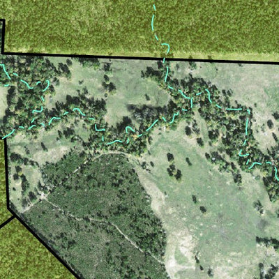 Individal Compartment Map of the Davy Crockett National Forest v3 Preview 2