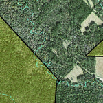Individal Compartment Map of the Davy Crockett National Forest v3 Preview 3