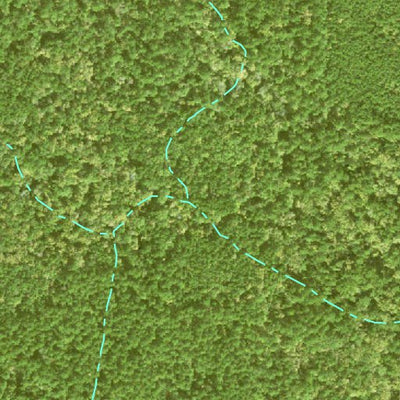 Individal Compartment Map of the Davy Crockett National Forest v4 Preview 2