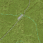 Individal Compartment Map of the Davy Crockett National Forest v12 Preview 2