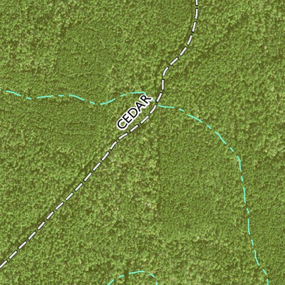 Individal Compartment Map of the Davy Crockett National Forest v12 Preview 2