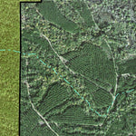 Individal Compartment Map of the Davy Crockett National Forest v12 Preview 3