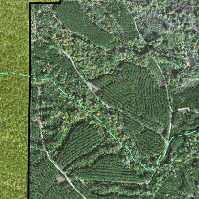 Individal Compartment Map of the Davy Crockett National Forest v12 Preview 3