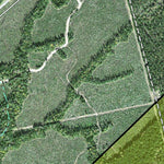 Individal Compartment Map of the Davy Crockett National Forest v6 Preview 3