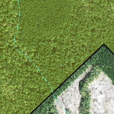 Individal Compartment Map of the Davy Crockett National Forest v5 Preview 2