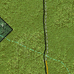 Individal Compartment Map of the Davy Crockett National Forest v5 Preview 3