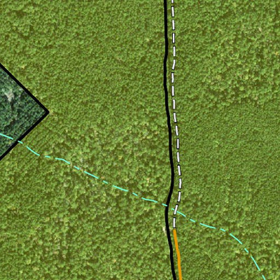 Individal Compartment Map of the Davy Crockett National Forest v5 Preview 3